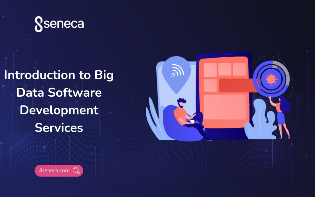 big data software development services