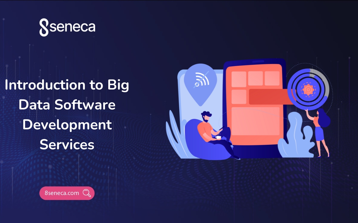 Introduction to Big Data Software Development Services